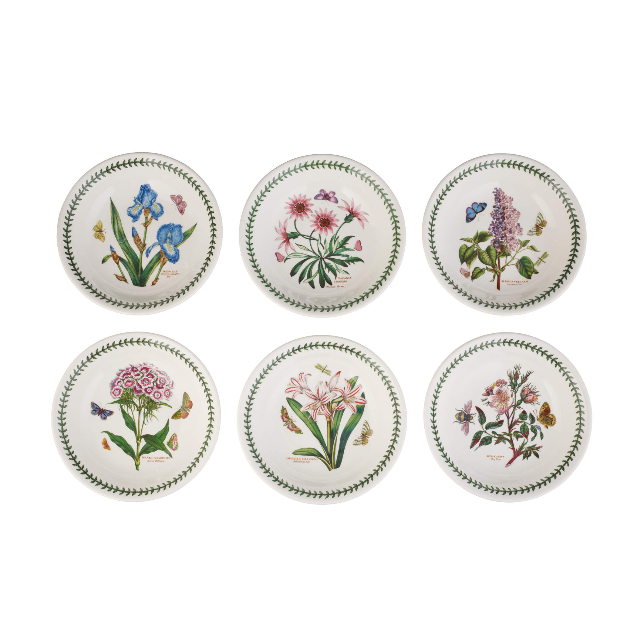 Botanic Garden 8.5 Inch Pasta/Low Bowls Set of 6 (Assorted Motifs) image number null